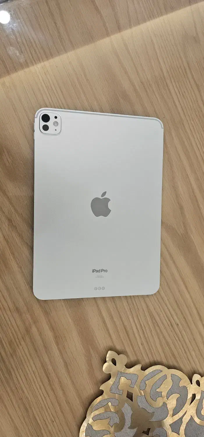 آیپد پرو 2024|تبلت|اصفهان, باغ دریاچه|دیوار