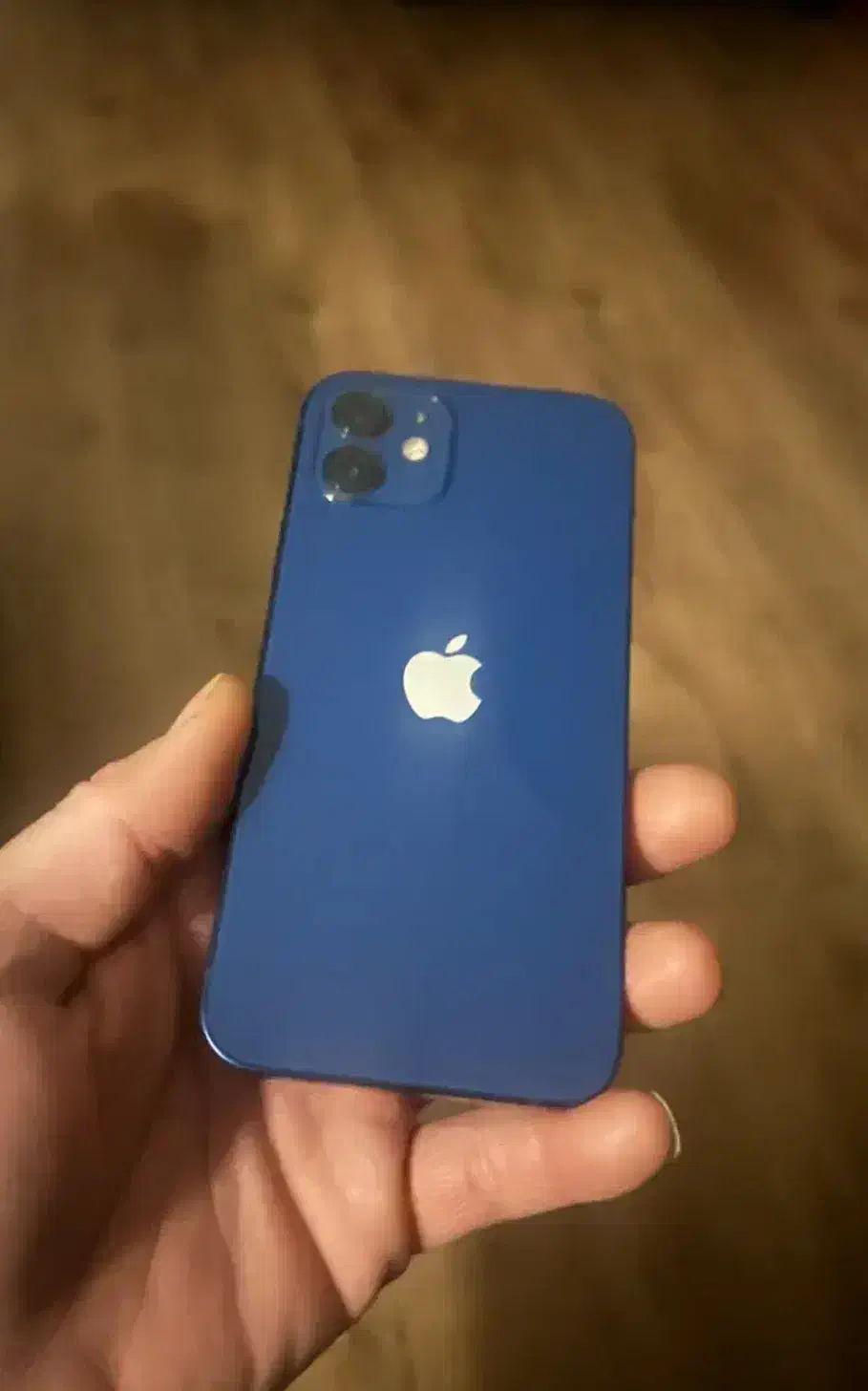 آیفون ۱۲نرمال|موبایل|تربت‌حیدریه, پارک پرستار|دیوار