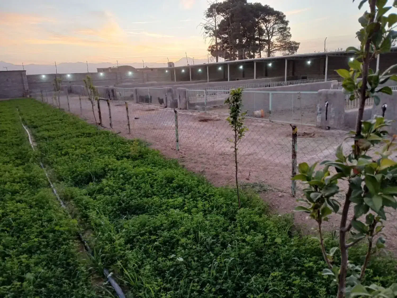 رهن و اجاره مجتمع پرورش دام استان اصفهان بادرود|اجارهٔ دفتر صنعتی، کشاورزی، تجاری|بادرود, |دیوار