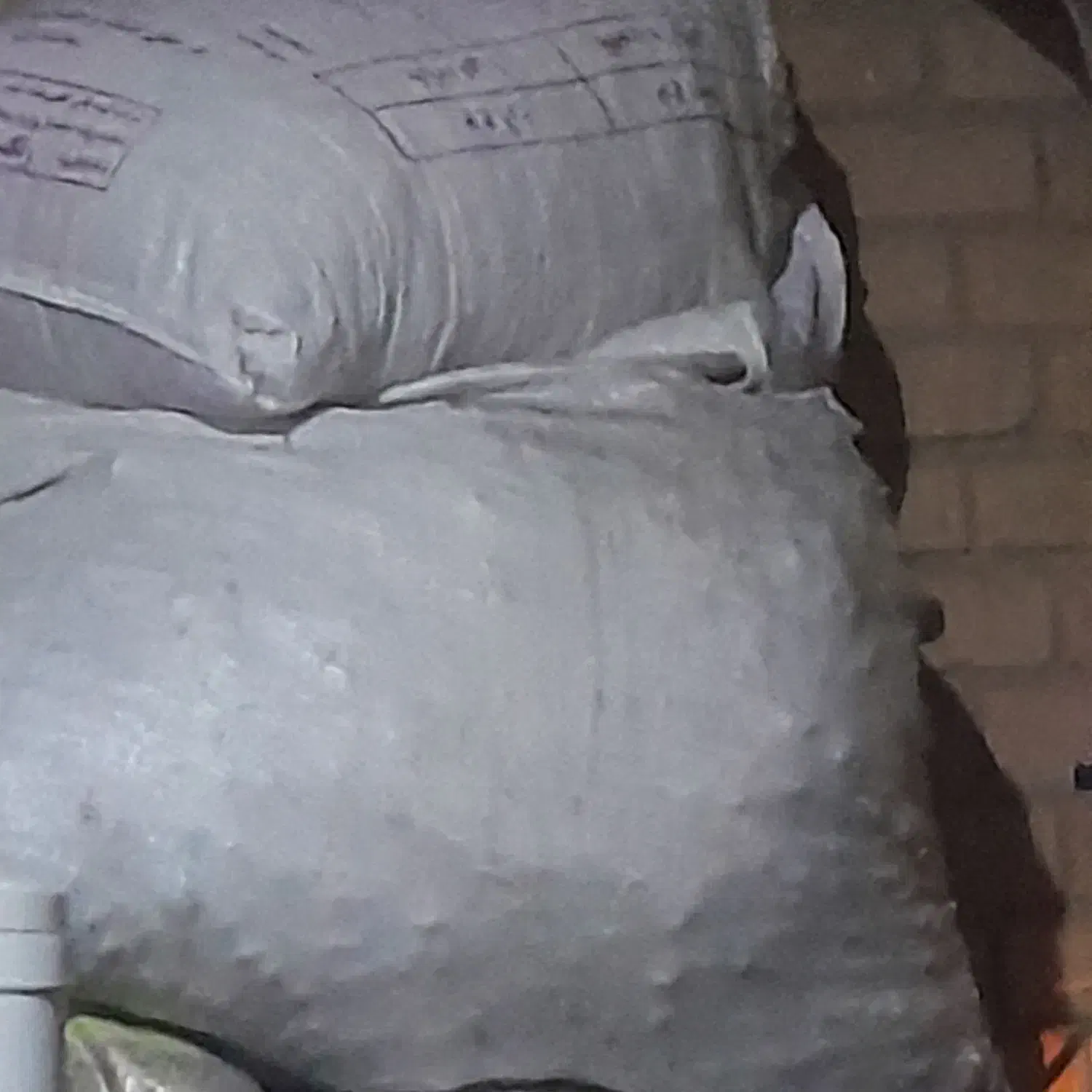 نون خشک|لوازم جانبی حیوانات|مسجد سلیمان, |دیوار