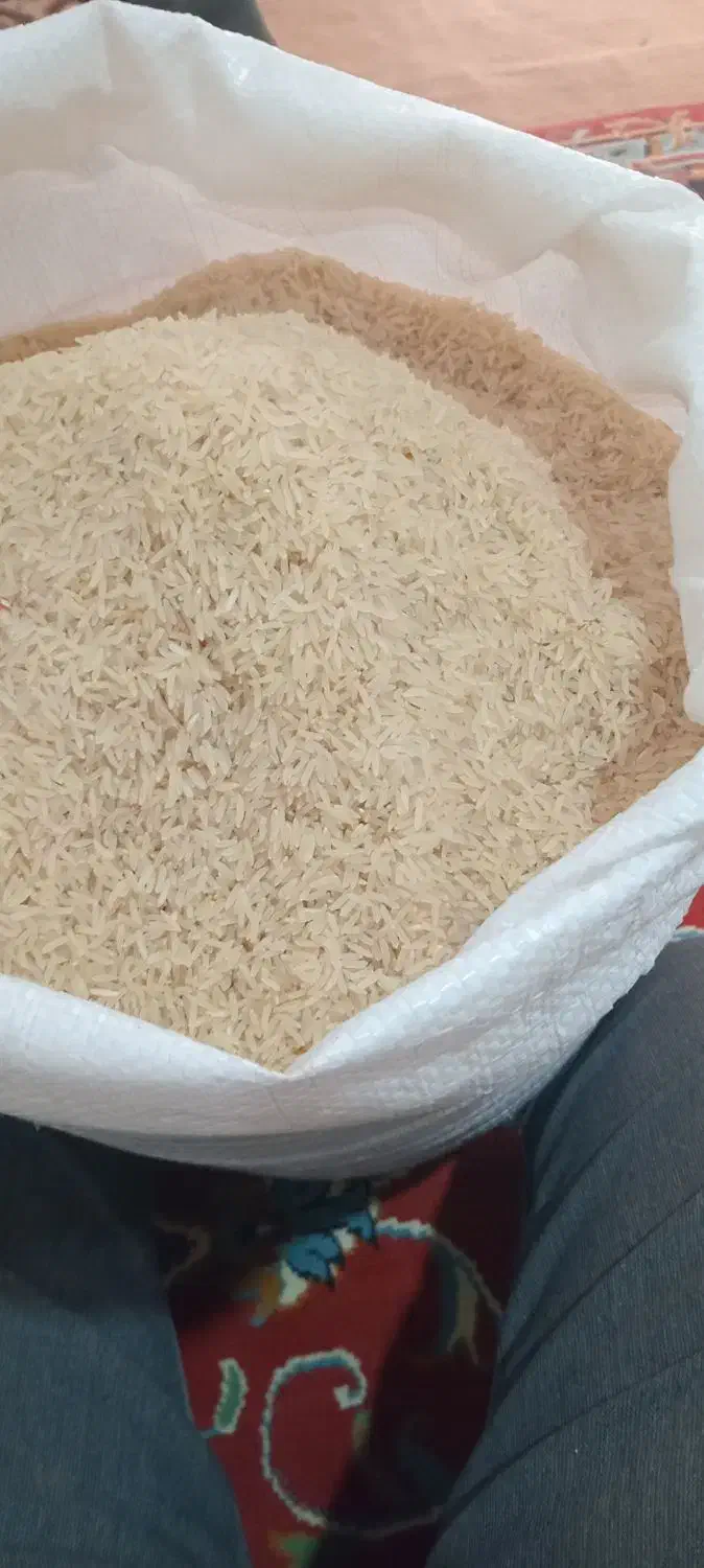 برنج محلی فجر سوزنی|خوردنی و آشامیدنی|سیمین شهر, |دیوار