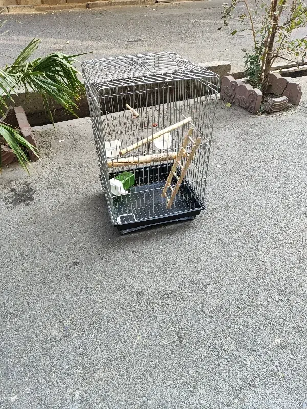 قفس طوطی سانان و غیره|لوازم جانبی حیوانات|تهران, امام زاده عبدالله|دیوار