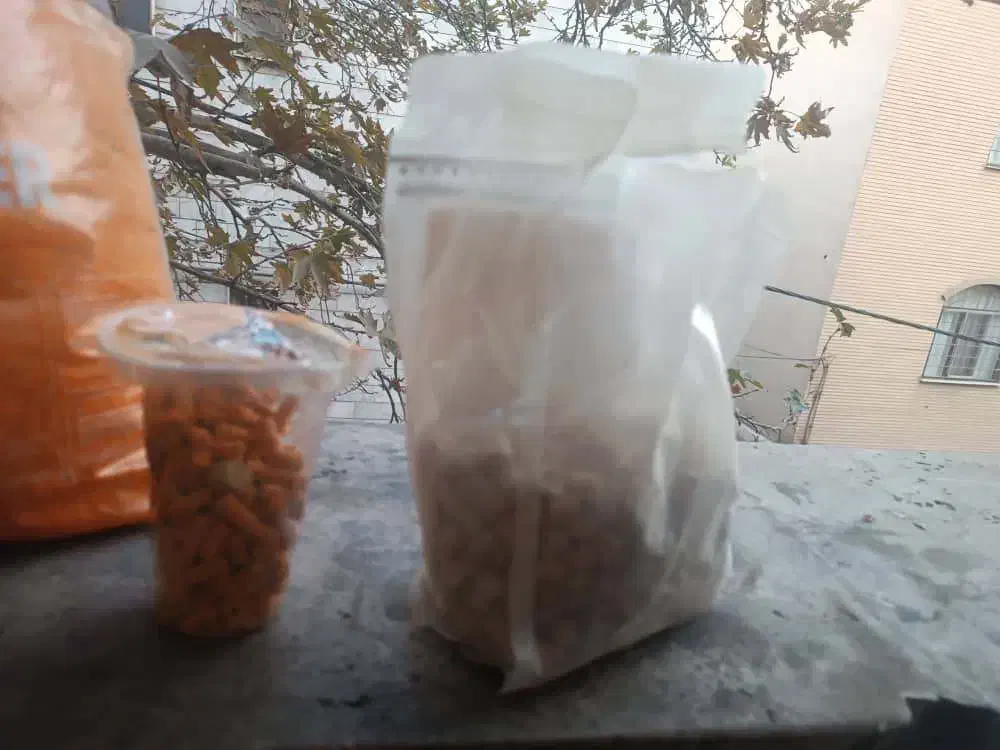 غذای خرگوش|موش و خرگوش|تهران, حشمتیه|دیوار