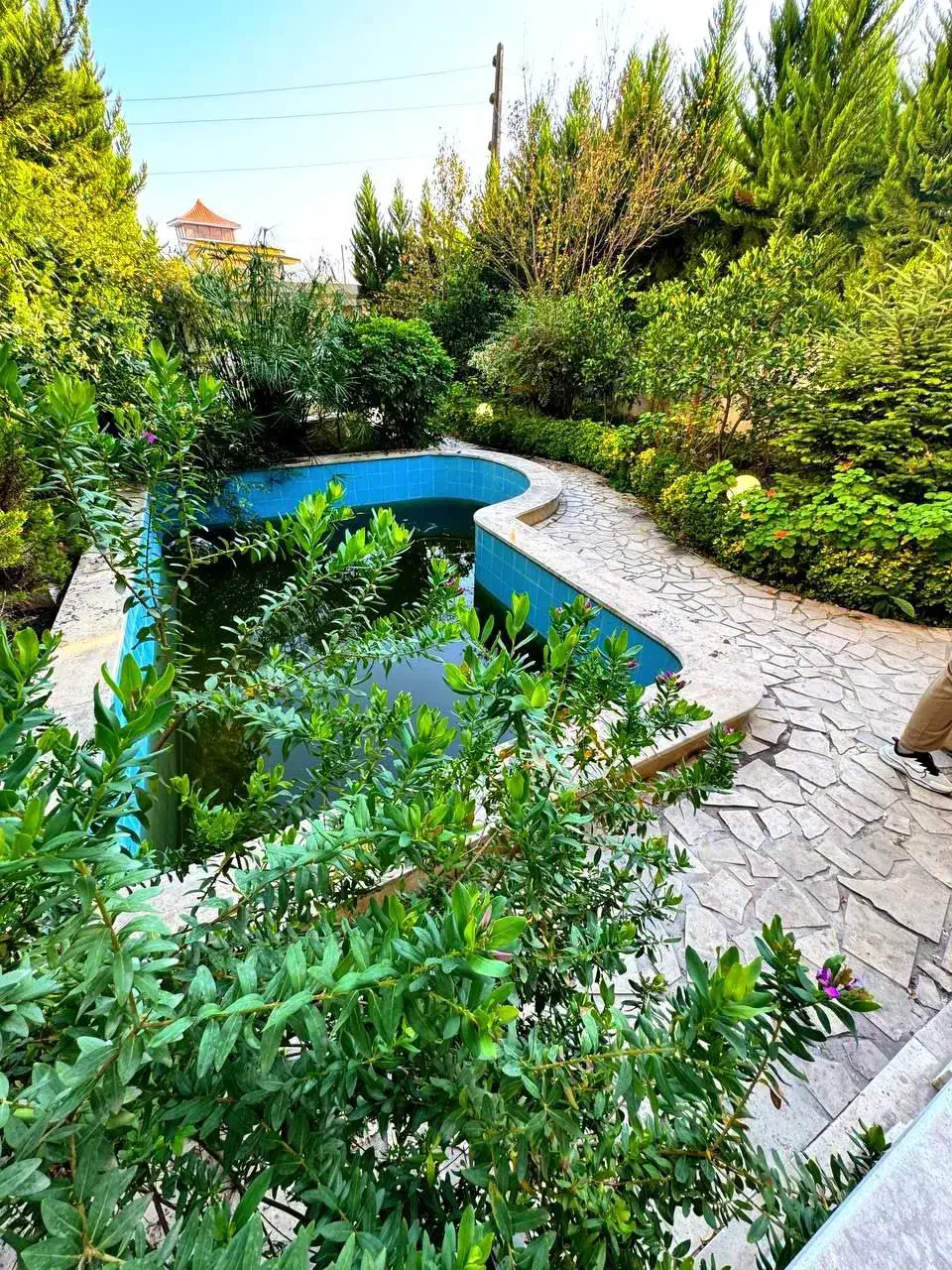 دوبلکس‌نما‌کلاسیک مشجر‌استخردارفول‌فرنیش جاده‌دریا|فروش خانه و ویلا|چمستان, |دیوار