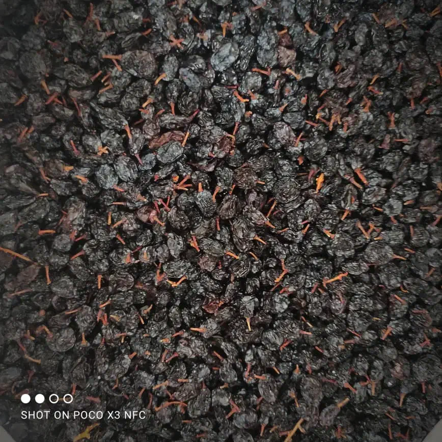 کشمش و گردو بوانات|خوردنی و آشامیدنی|شیراز, کوشک میدان|دیوار