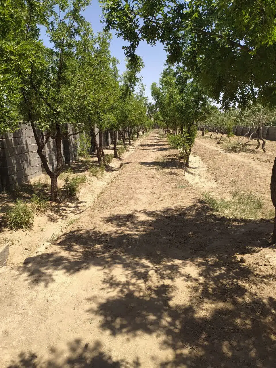 تصویر 7