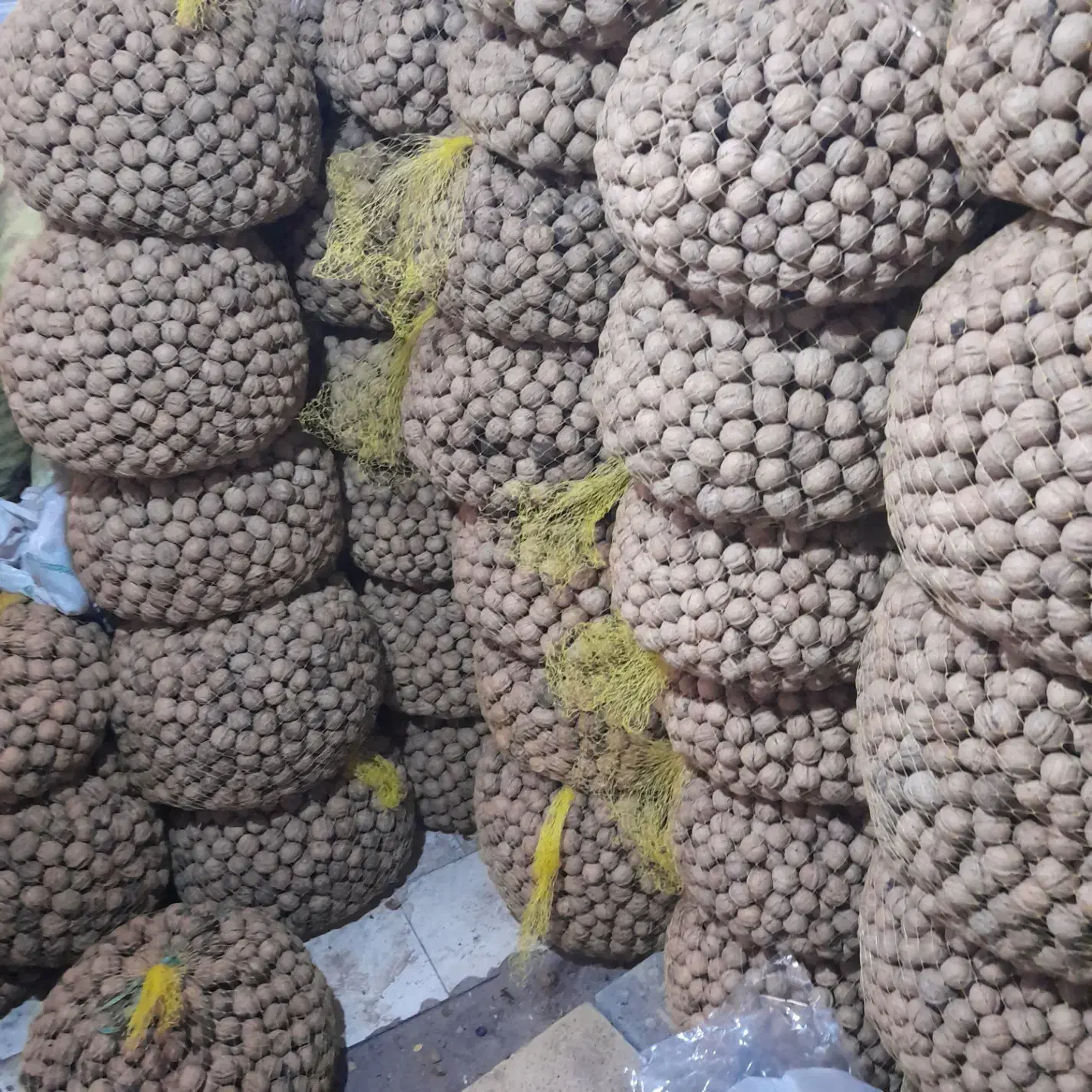 گردو ایرانی ۱۴۰۴ الموت بالای ۵۰۰گرم مغز|خوردنی و آشامیدنی|محمدیه-قزوین, |دیوار