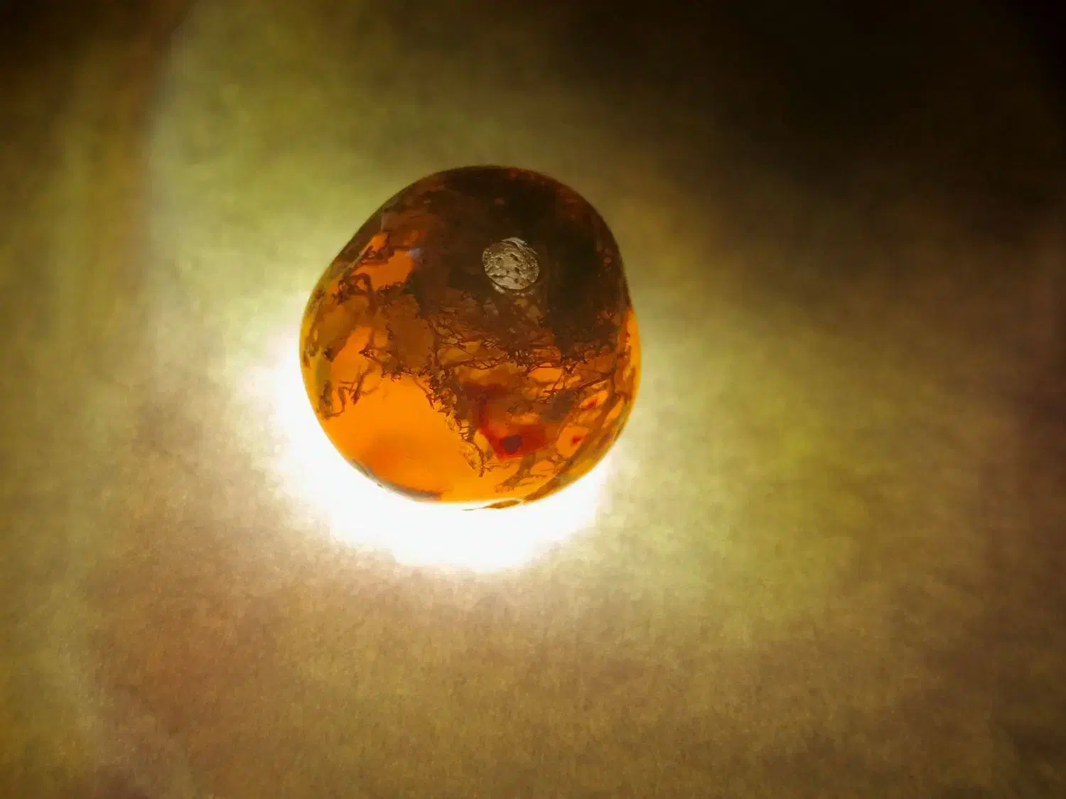 کلکسیون|کلکسیون سکه، تمبر، اسکناس|دورود, |دیوار