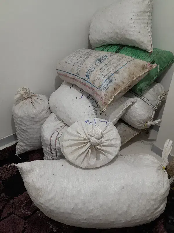 فروش گردوی پوست کاغذی|عمدهفروشی|فولادشهر, C1|دیوار