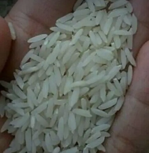 برنج هاشمی درجه ۱|خوردنی و آشامیدنی|تهران, استاد معین|دیوار