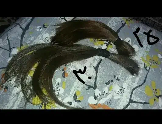 فروشنده موی طبیعی|حراج|شاهینشهر, فردوسی|دیوار