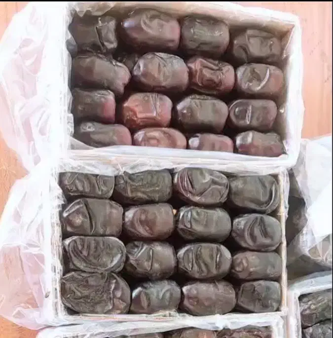 خرمارطب بم|خوردنی و آشامیدنی|بم, |دیوار