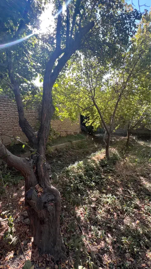 باغچه ۱۰۳۰متری زیبادشت فرخ اباد|فروش خانه و ویلا|محمدشهر, زیبادشت|دیوار