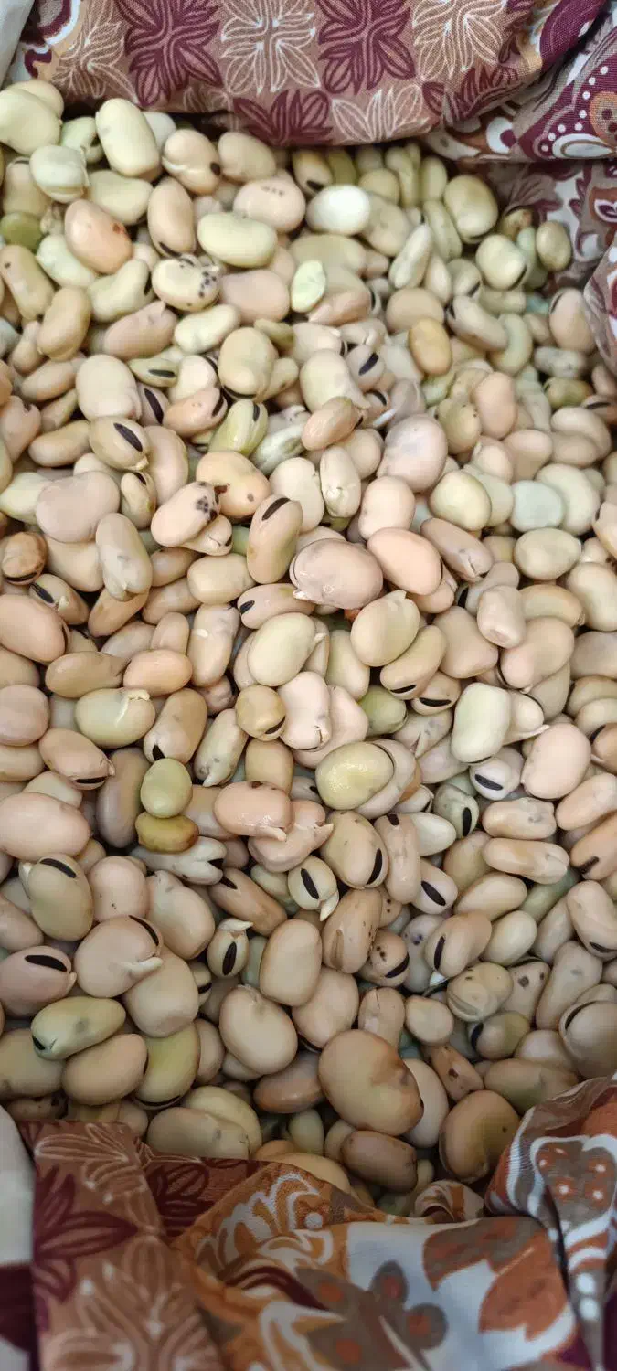 باقالی خشک|خوردنی و آشامیدنی|بهارستان, |دیوار