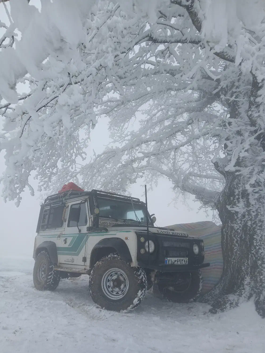 پاژن  افرودی آس|خودرو سواری و وانت|تهران, ولنجک|دیوار