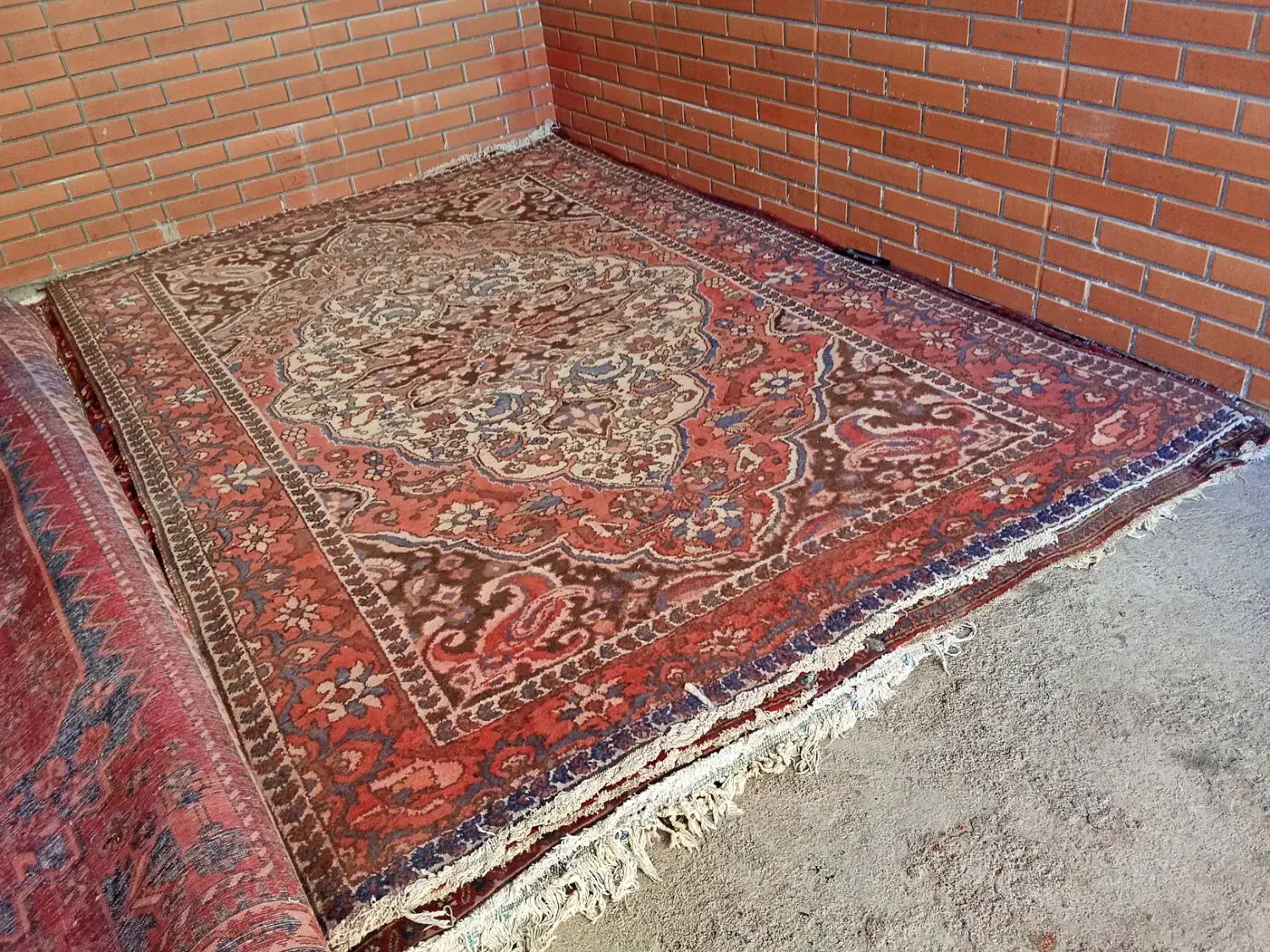 شانزده تخته فرش دستباف قدیمی قیمت هر کدام ۵ م|فرش|لردگان, |دیوار