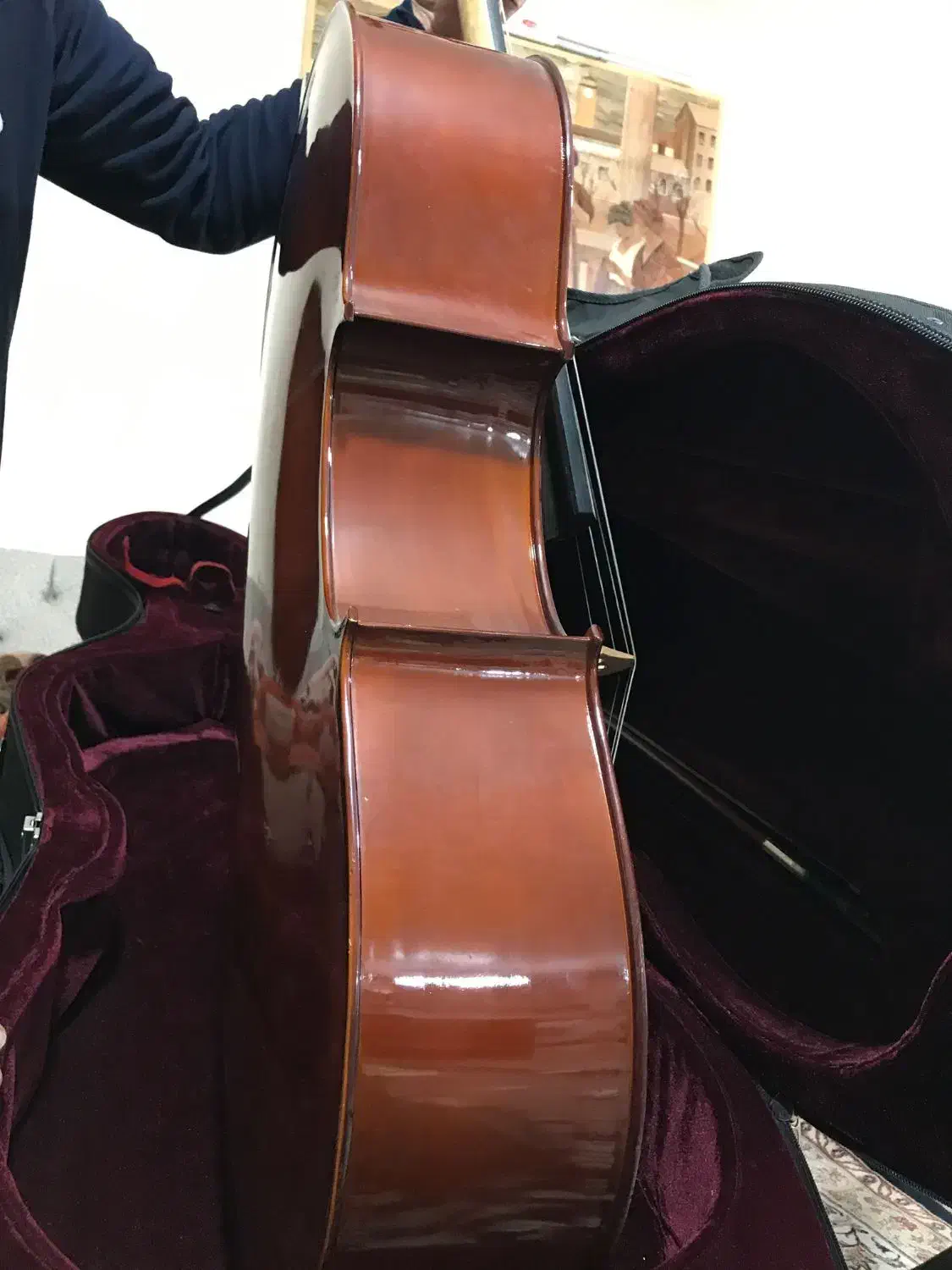 ویولنسل هافنر.ویلنسل هافنر.|ویولن|تهران, فردوس|دیوار