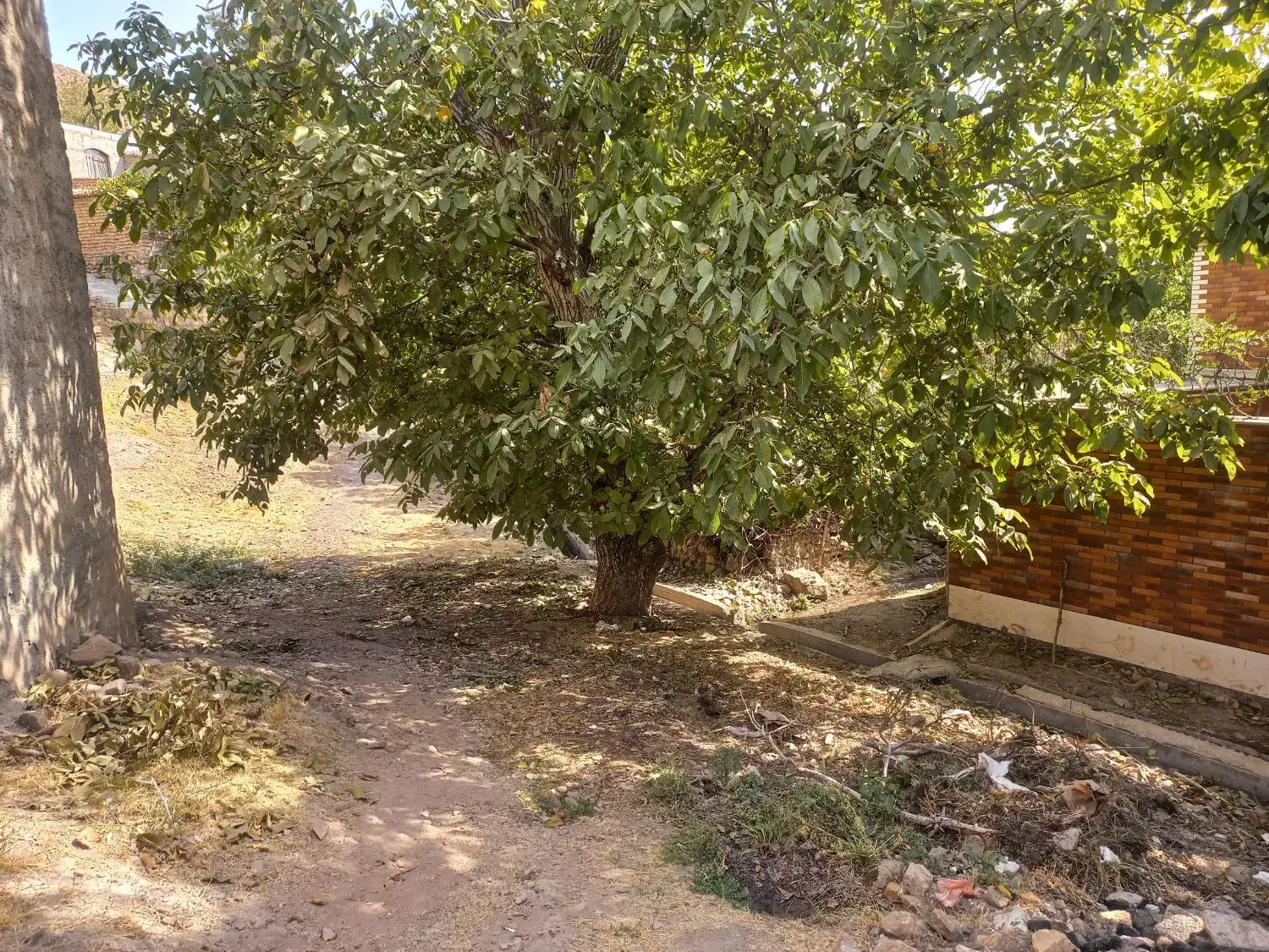 زمین ۱۴۸ متری فشند|فروش زمین و ملک کلنگی|هشتگرد, فشند|دیوار