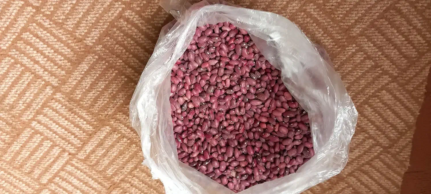 لوبیا قرمز بوجاری شده در دهگلان|خوردنی و آشامیدنی|دهگلان, |دیوار