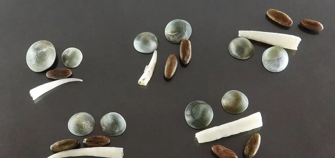 گردنبند و سنگ مخصوص|بدلیجات|گلبهار, شهر جدید گلبهار|دیوار