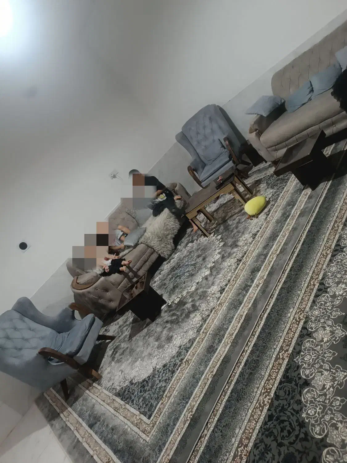 قالی در حد نو ۱۲|فرش|تربت جام, شهرک معلم|دیوار