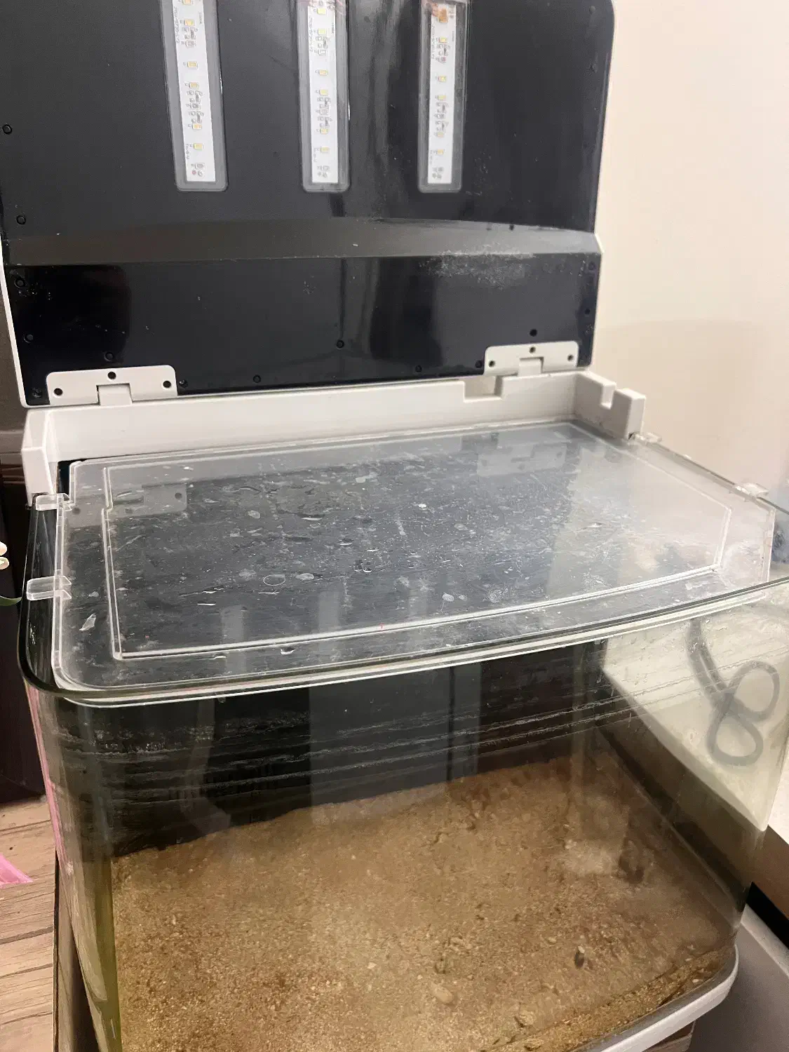 شیشه آکواریوم خانگی لوکس|ماهی|کیش, |دیوار