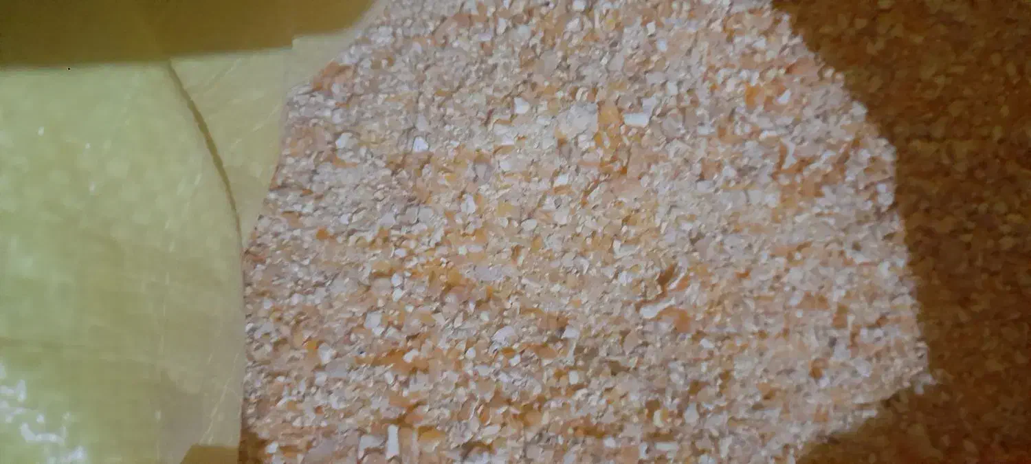 ذرت|لوازم جانبی حیوانات|تربت جام, شهید غلام زاده|دیوار