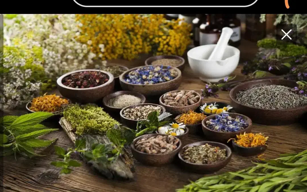 آموزش برای بانوان به صورت آنلاین|خدمات آموزشی|رفسنجان, |دیوار