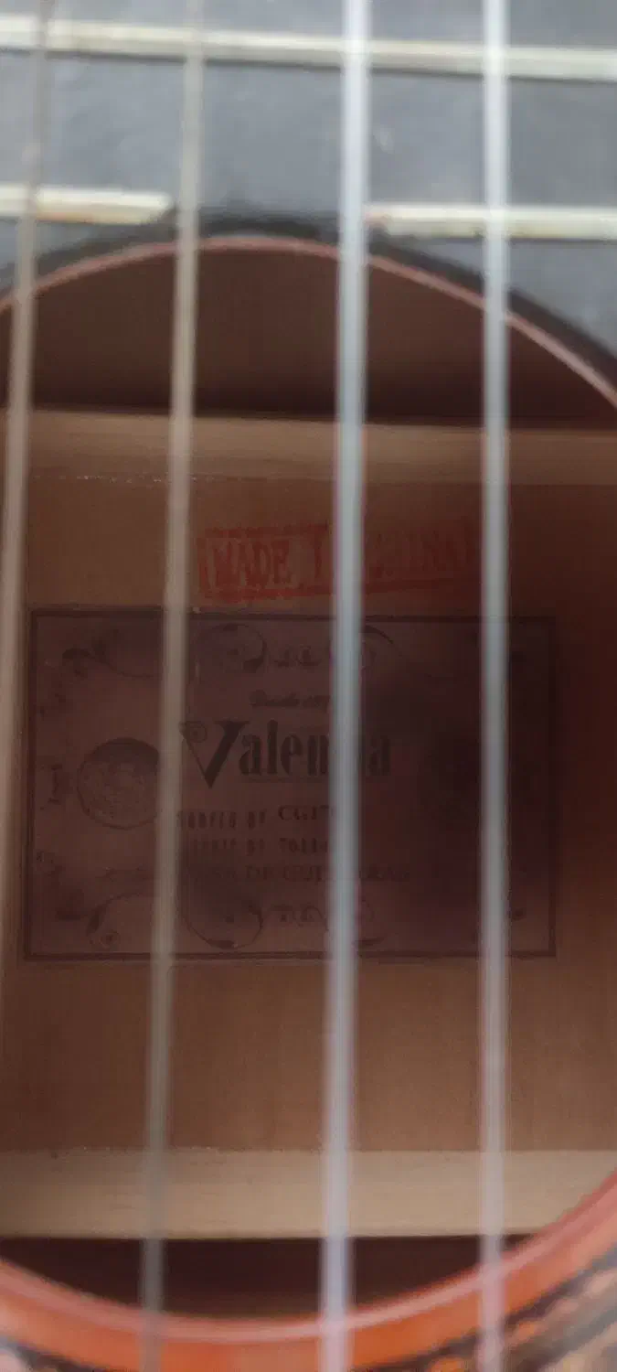 گیتار والنسیا اصل نو نو|گیتار، بیس، امپلیفایر|شیراز, جمهوری|دیوار