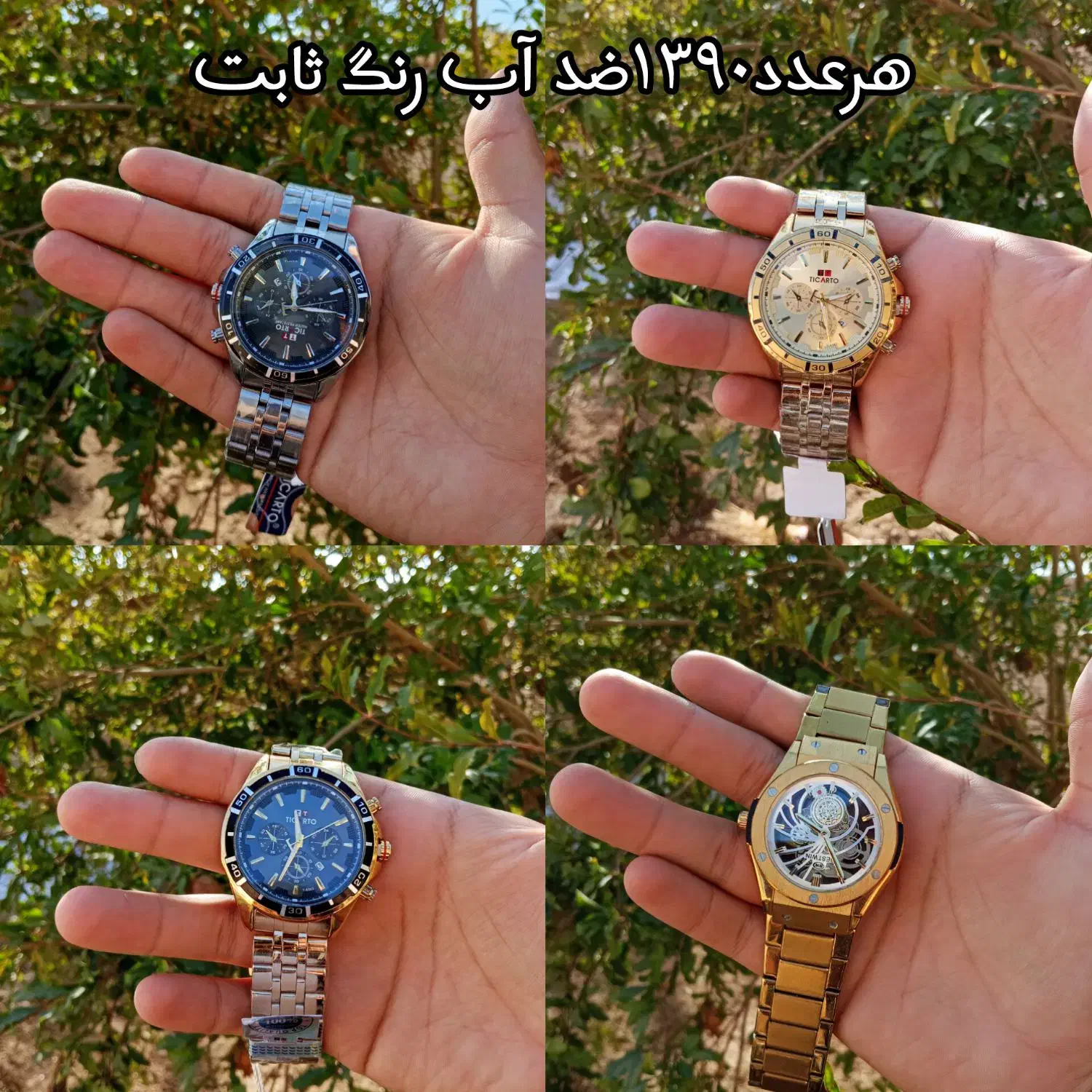 ساعت مچی|ساعت|یزد, |دیوار