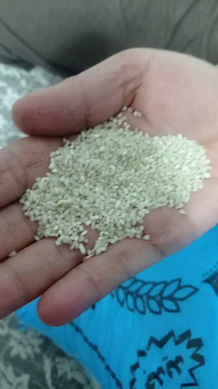 برنج نیم دانه|خوردنی و آشامیدنی|صحنه, |دیوار