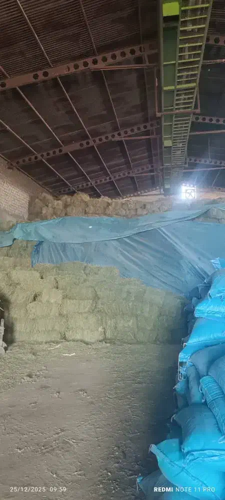 یونجه|عمده‌فروشی|رفسنجان, |دیوار