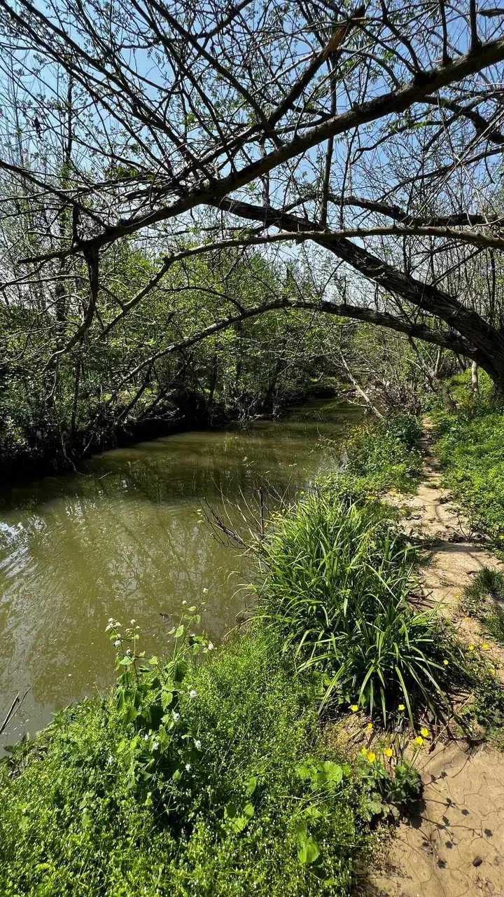 ویلا باغ بزرگ دنج با هیزم و آتش|اجارهٔ کوتاه‌مدت ویلا و باغ|رشت, ترمینال|دیوار