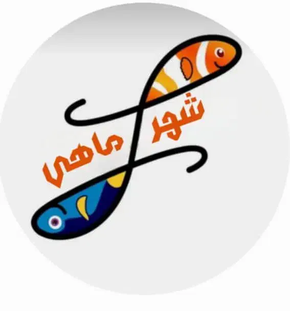 شیشه خم شرکتی .م|ماهی|کرمانشاه, |دیوار