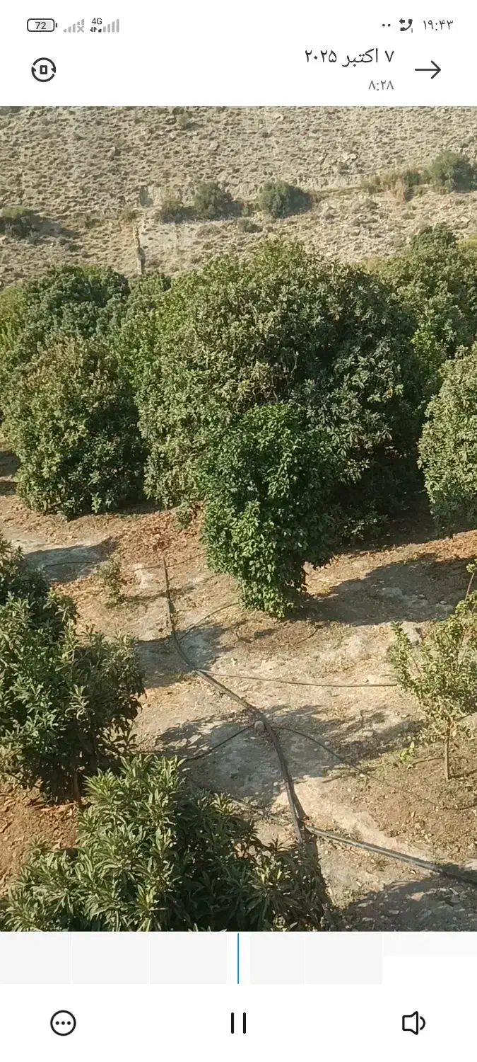 دو هکتار زمین تجاری و باغی|فروش زمین و ملک کلنگی|راهگان, |دیوار