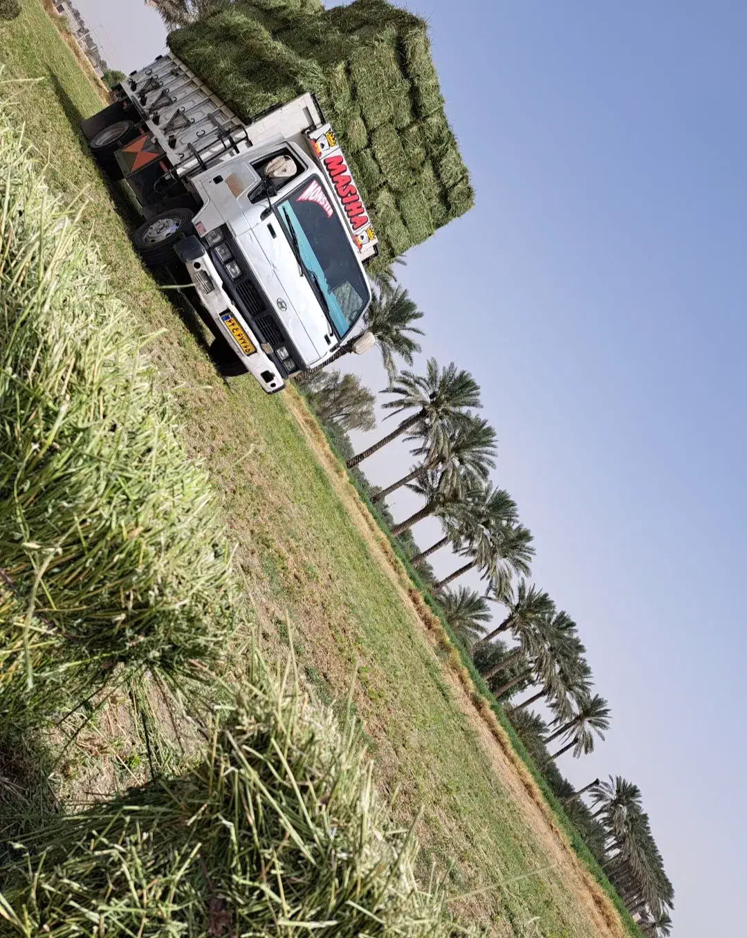 کامیونت هیوندا|خودرو سنگین|فاریاب, |دیوار