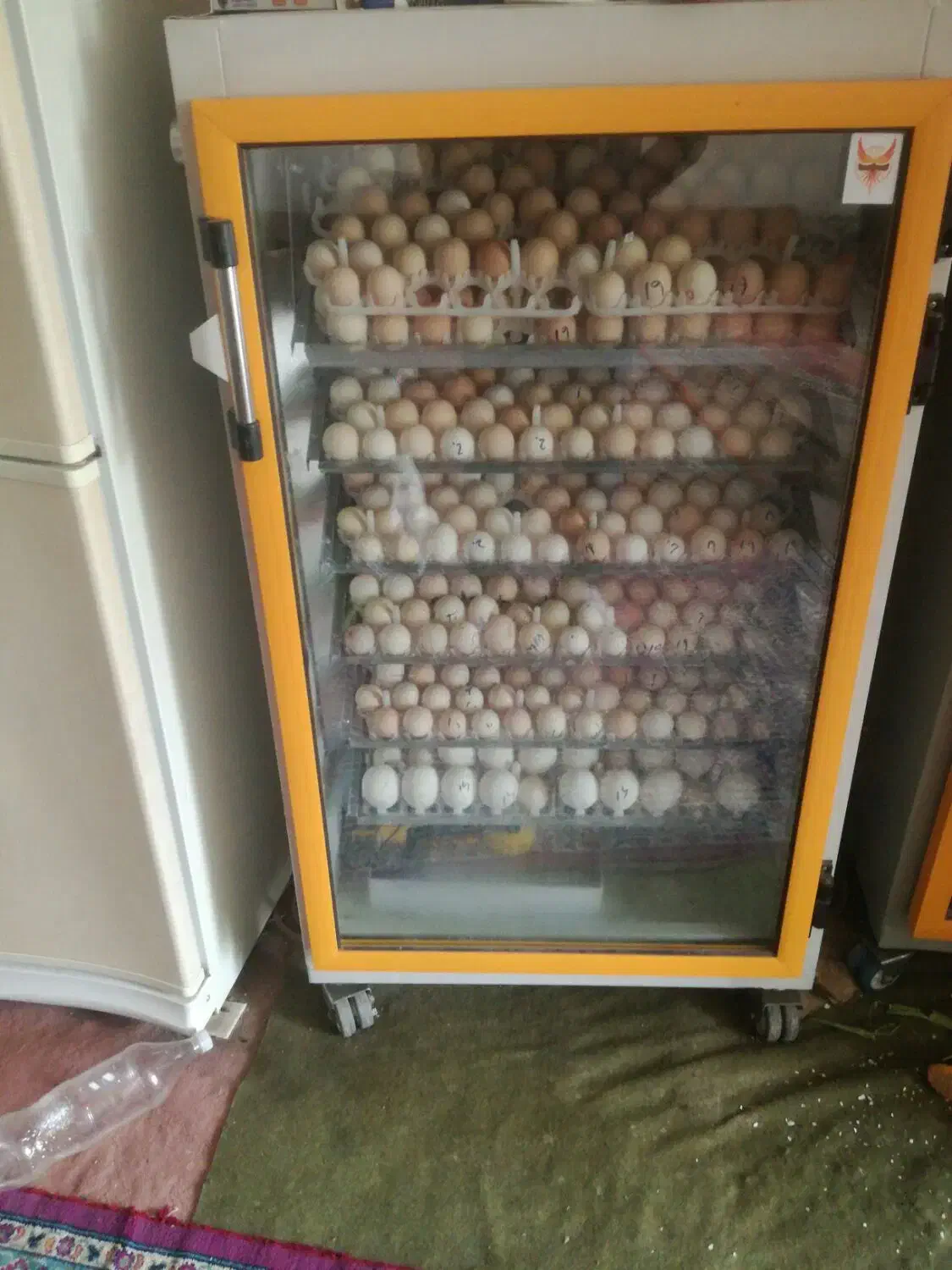 دستگاه جوجه کشی قیمت 25000|ماشینآلات صنعتی|کوه چنار, |دیوار