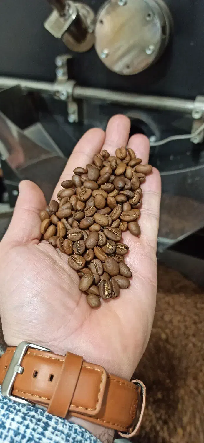 پخش عمده قهوه سنترو|خوردنی و آشامیدنی|لنجان, |دیوار