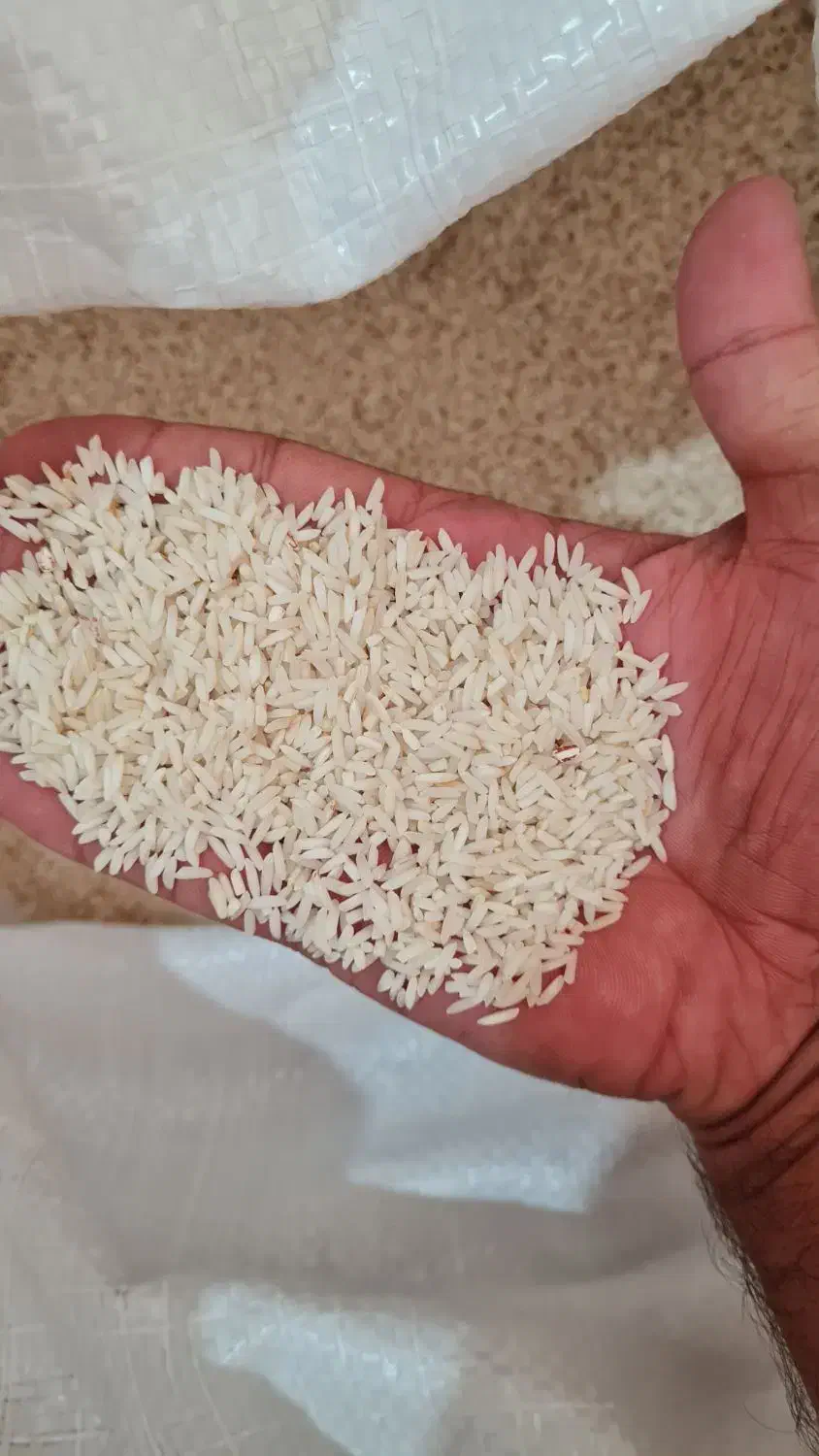 برنج دم سیاه تضمین|خوردنی و آشامیدنی|گنبد کاووس, |دیوار