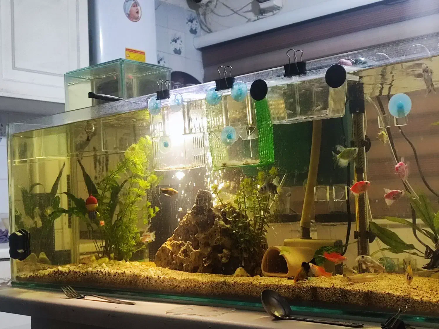 خانه اشتراکی با لوازم کامل (همخانه یا همخونه)|اجارهٔ آپارتمان|تهران, هفت حوض|دیوار