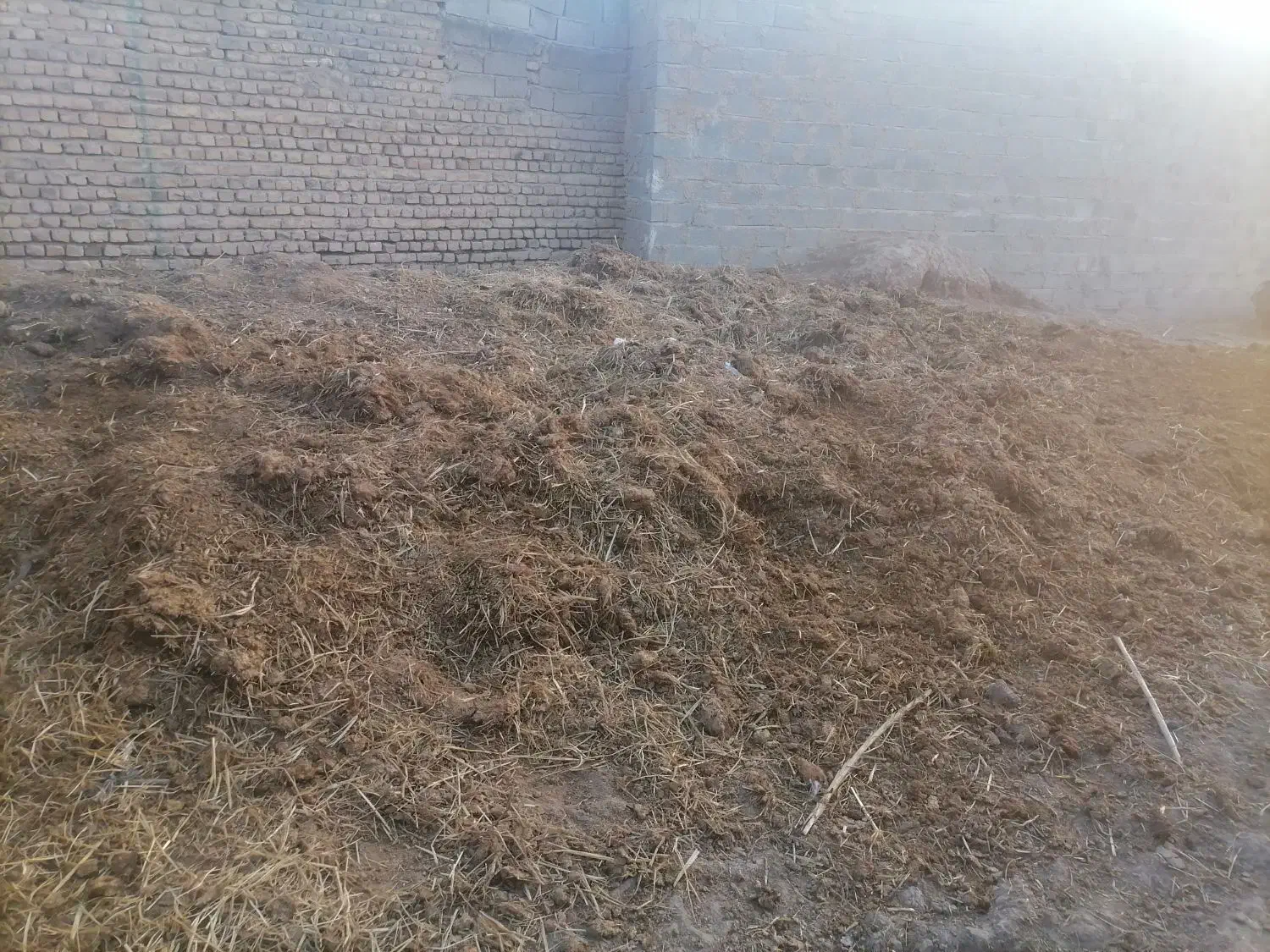 پهن گاو|خدمات باغبانی و درختکاری|گالیکش, |دیوار