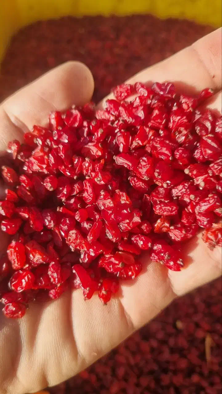 زرشک اعلا درجه یک|خوردنی و آشامیدنی|آزادشهر, |دیوار