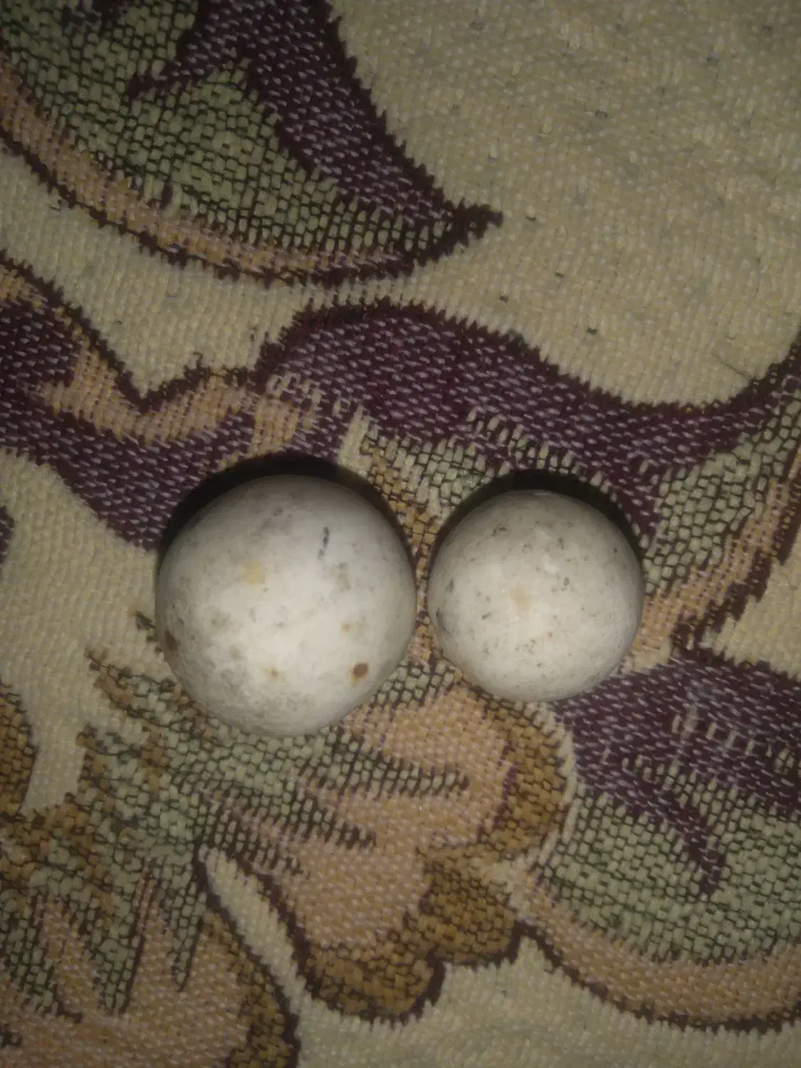 سنگ قیمتی|کلکسیون اشیاء عتیقه|نهاوند, |دیوار