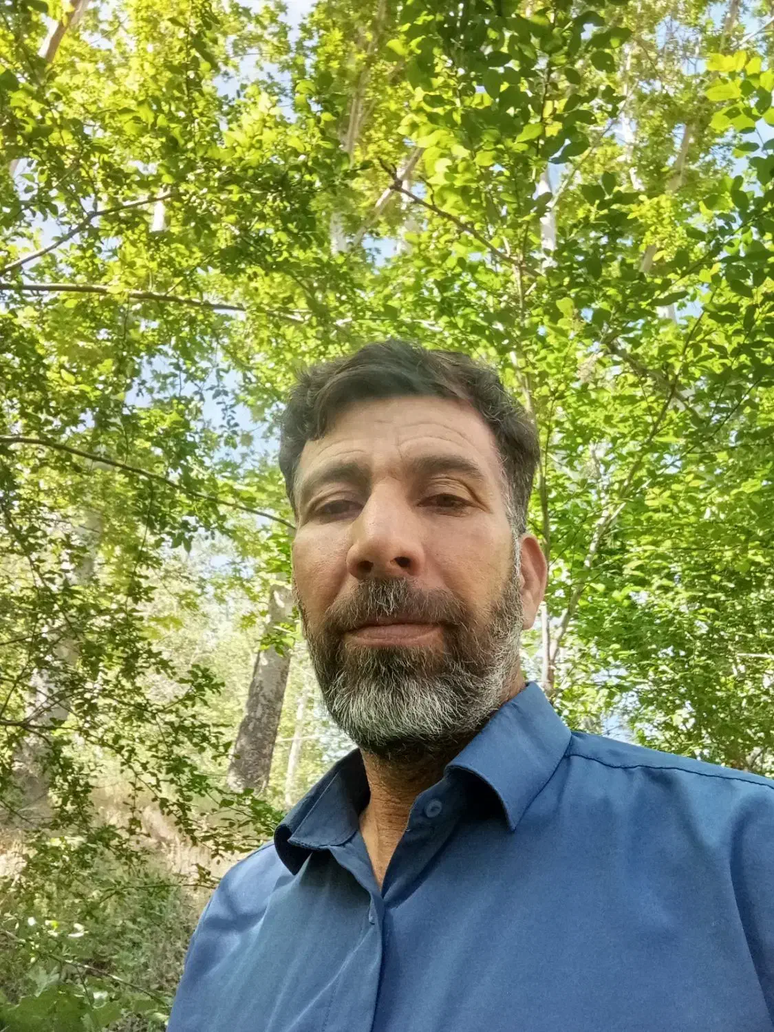 محمد مهدی دهقانی|خدمات باغبانی و درختکاری|یزد, |دیوار
