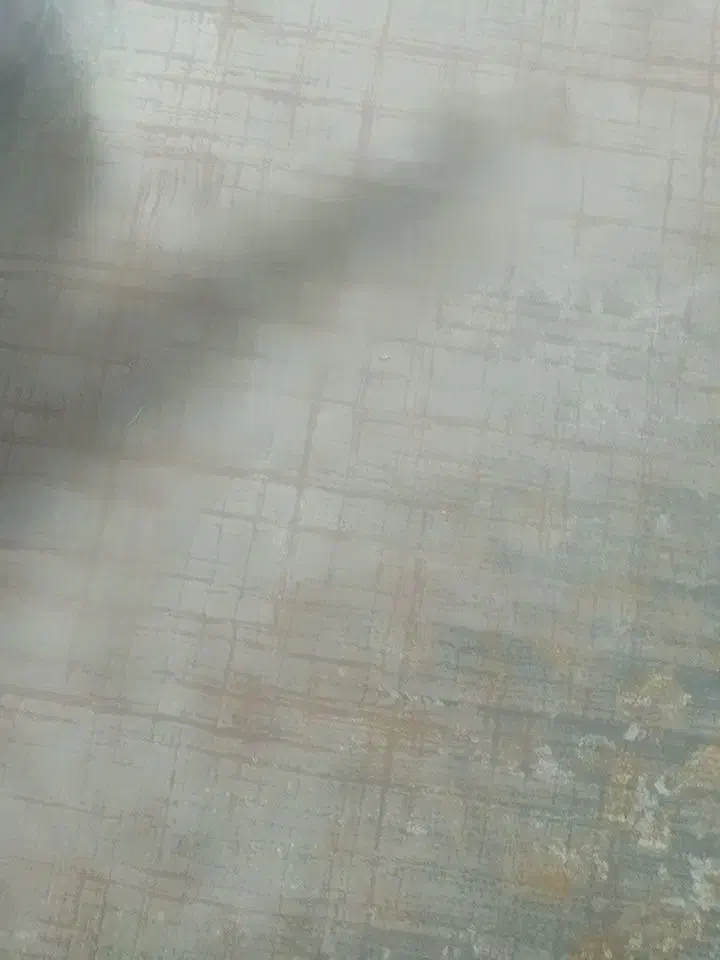 زمین به ابعاد30 *15شهرک قادراباد|فروش زمین و ملک کلنگی|ارزوئیه, |دیوار