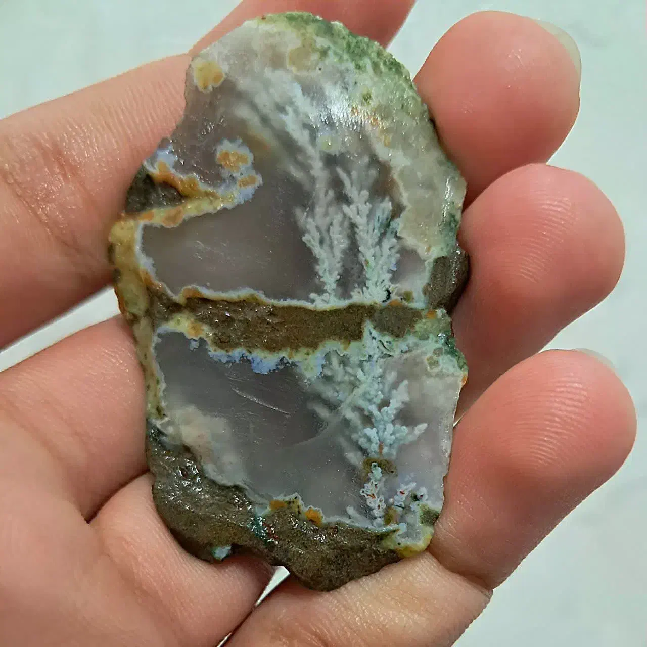 سنگ فردوس|جواهرات|فردوس (خراسان), |دیوار