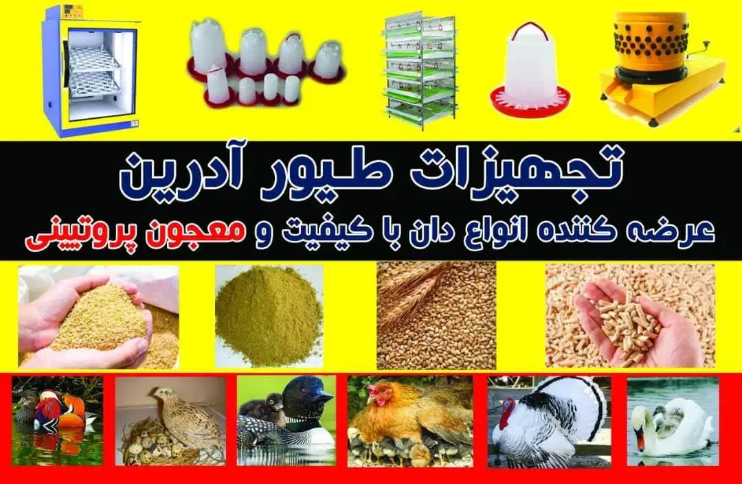 تولید انواع جوجه با بهترین دستگاه جوجه کشی|حیوانات مزرعه|تنکابن, |دیوار