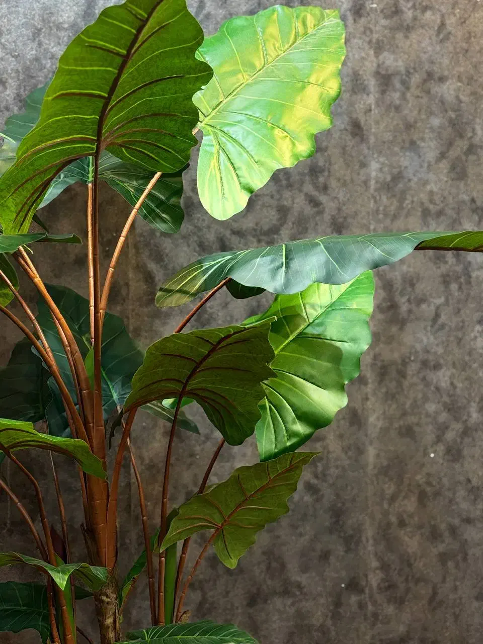 بابا آدم|گل مصنوعی|کرج, ساماندهی|دیوار