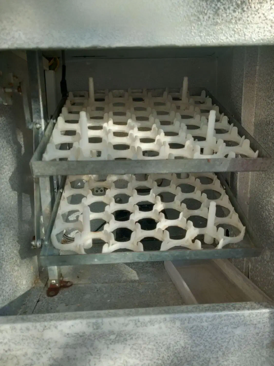 فروشی در حد نو|لوازم جانبی حیوانات|مینودشت, |دیوار