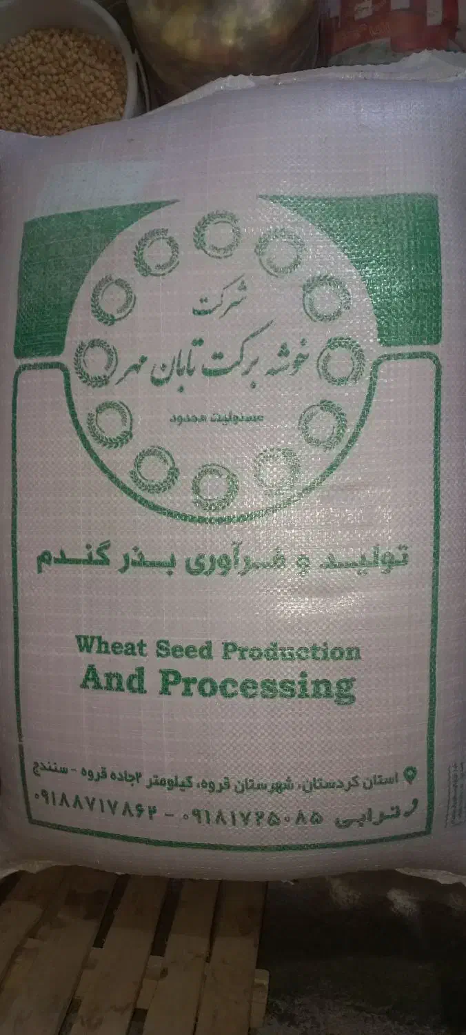 بذر گندم دیم|عمده‌فروشی|بیلوار, |دیوار